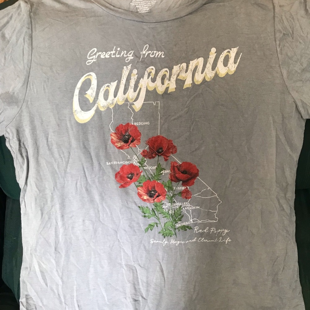 Gray California Graphic T-Shirt